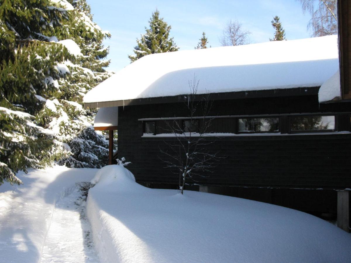 Holiday Home Rechbergblick Bernau im Schwarzwald Exterior foto
